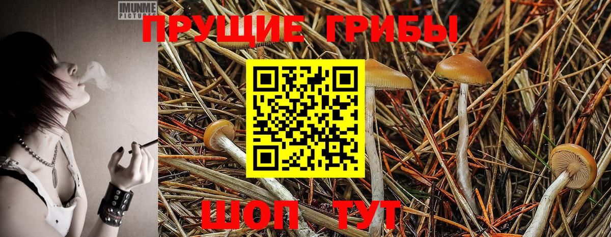 Галлюциногенные грибы MAGIC MUSHROOMS  Вход с VPN  Шахты 